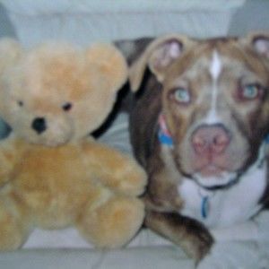 Meet your Posher, Nina